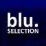 BluSelection Logo